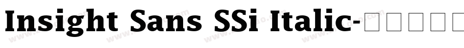 Insight Sans SSi Italic字体转换
